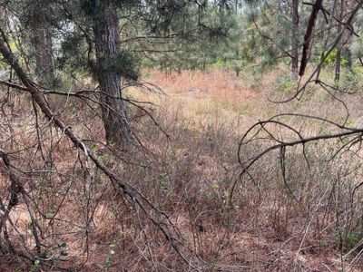 BDF 7 Beaverdam Road , Unit BDF 7, Cassatt, SC 29032