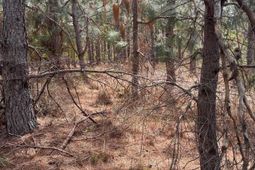 Bdf 7 Beaverdam Road  photo 4