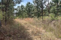 Bdf 7 Beaverdam Road  photo 4