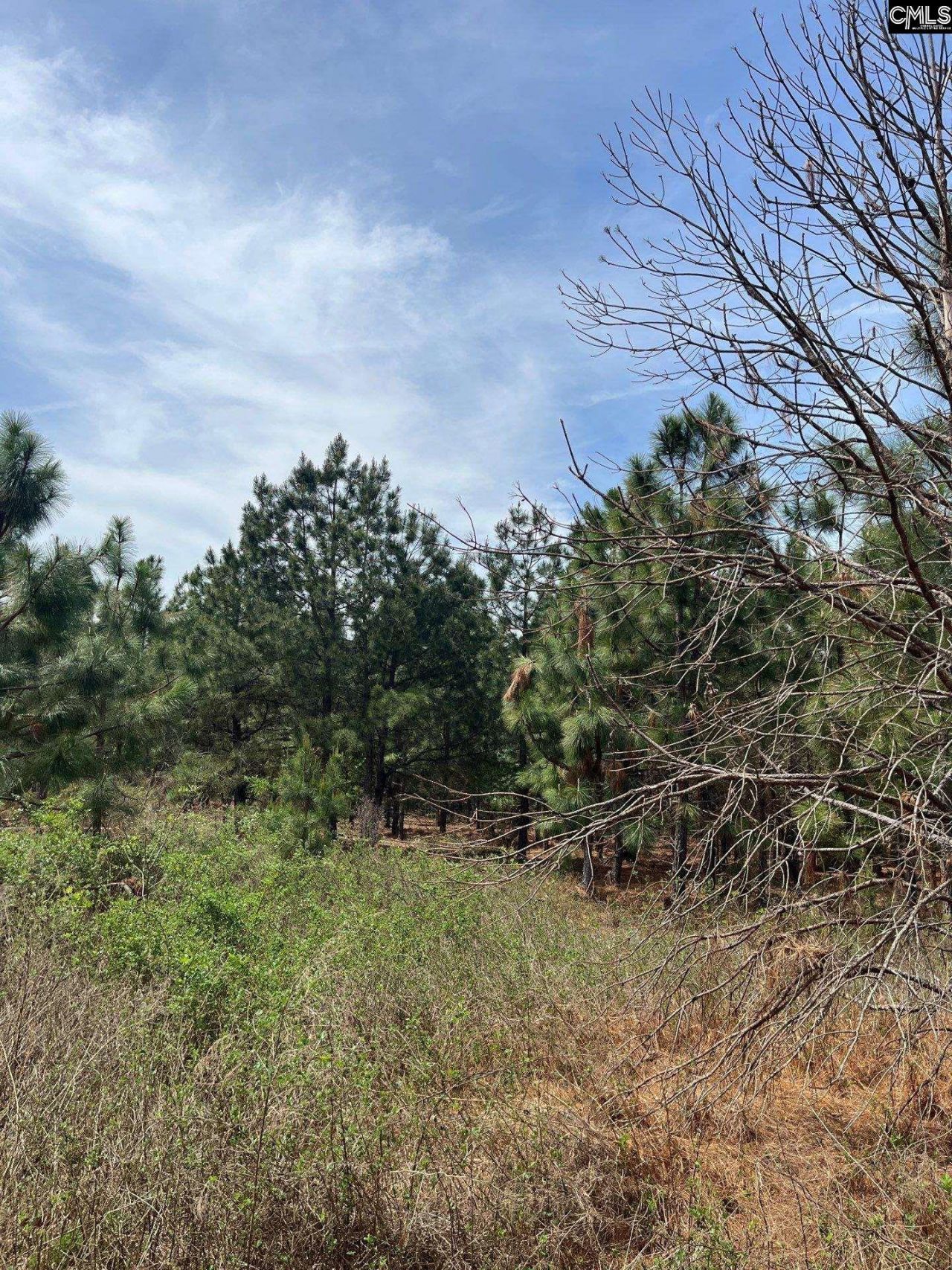 Bdf 7 Beaverdam Road  Photo 4