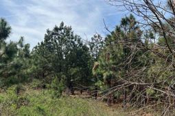 Bdf 7 Beaverdam Road  photo 4