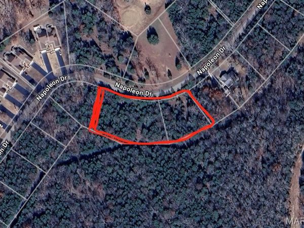 0 Napoleon Drive , Bonne Terre, MO 63628