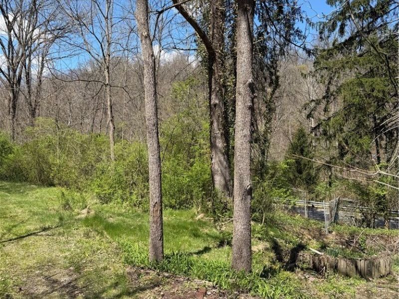 2615 Yellow Creek Road, Akron, OH 44333 Photo 6