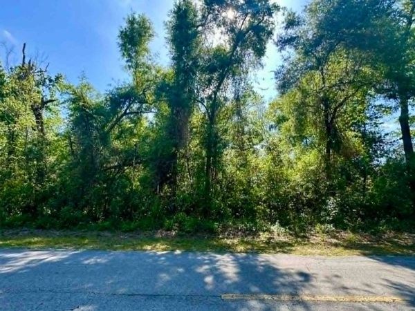 1610 SW NEWARK, Fort White, FL 32038