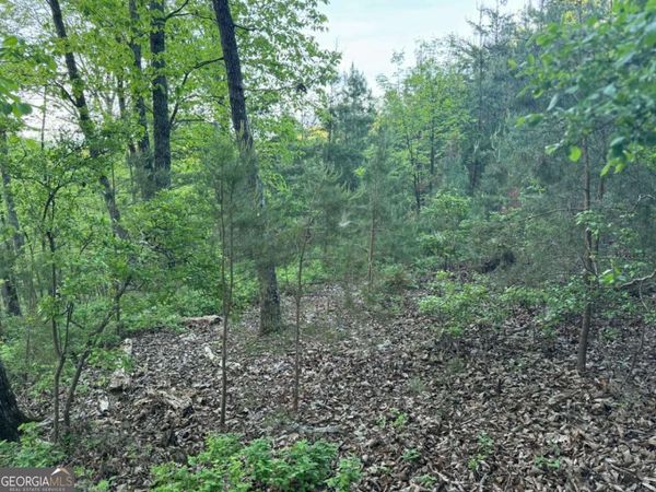 1181 Jewel Court NE, Ranger, GA 30734