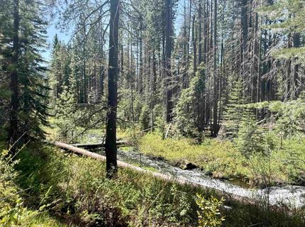 462-580 Park Lane, Clear Creek, CA 96137 Photo