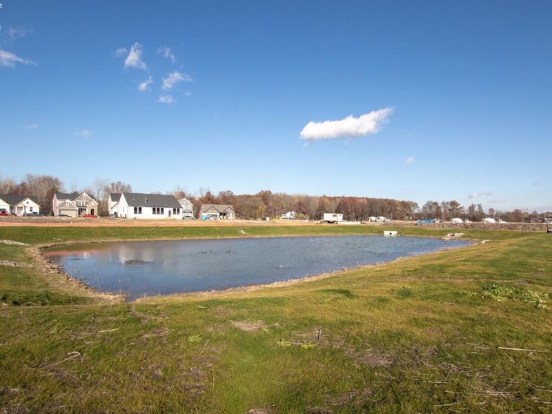 5843 Marcella Way, North Ridgeville, OH 44039 Photo 16