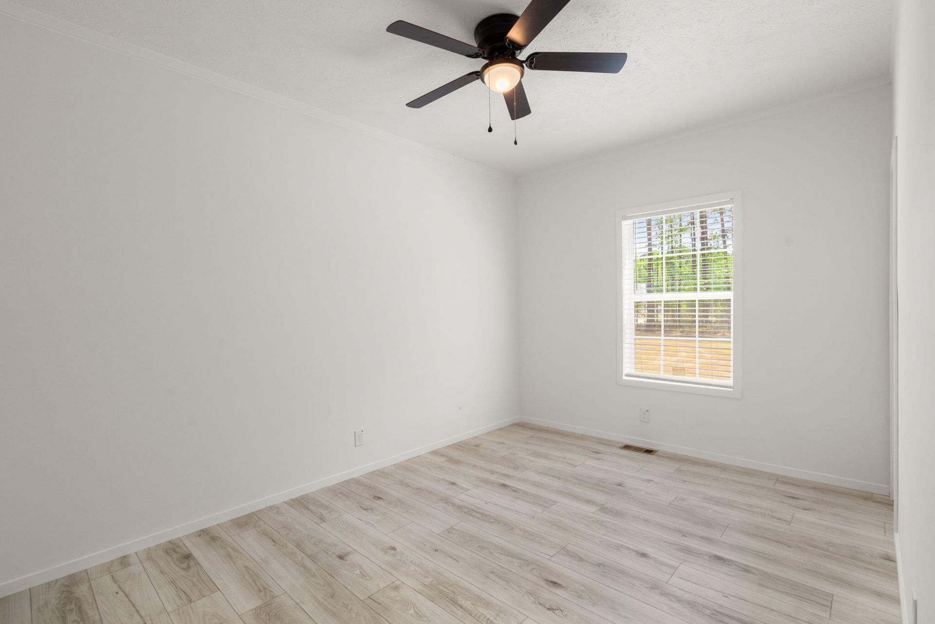 236 Gaines Circle Photo 22