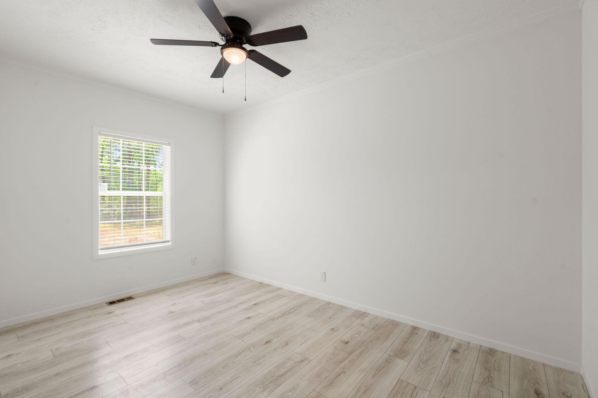 236 Gaines Circle Photo 23