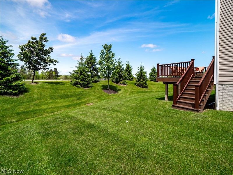 3243 Broadleaf Way, Brunswick, OH 44212 Photo 22