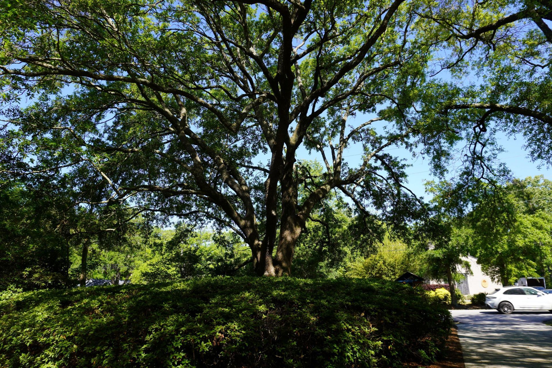 3461 Maybank Highway Photo 26