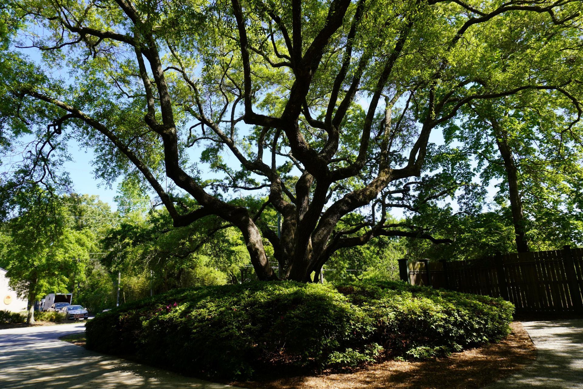 3461 Maybank Highway  Photo 27