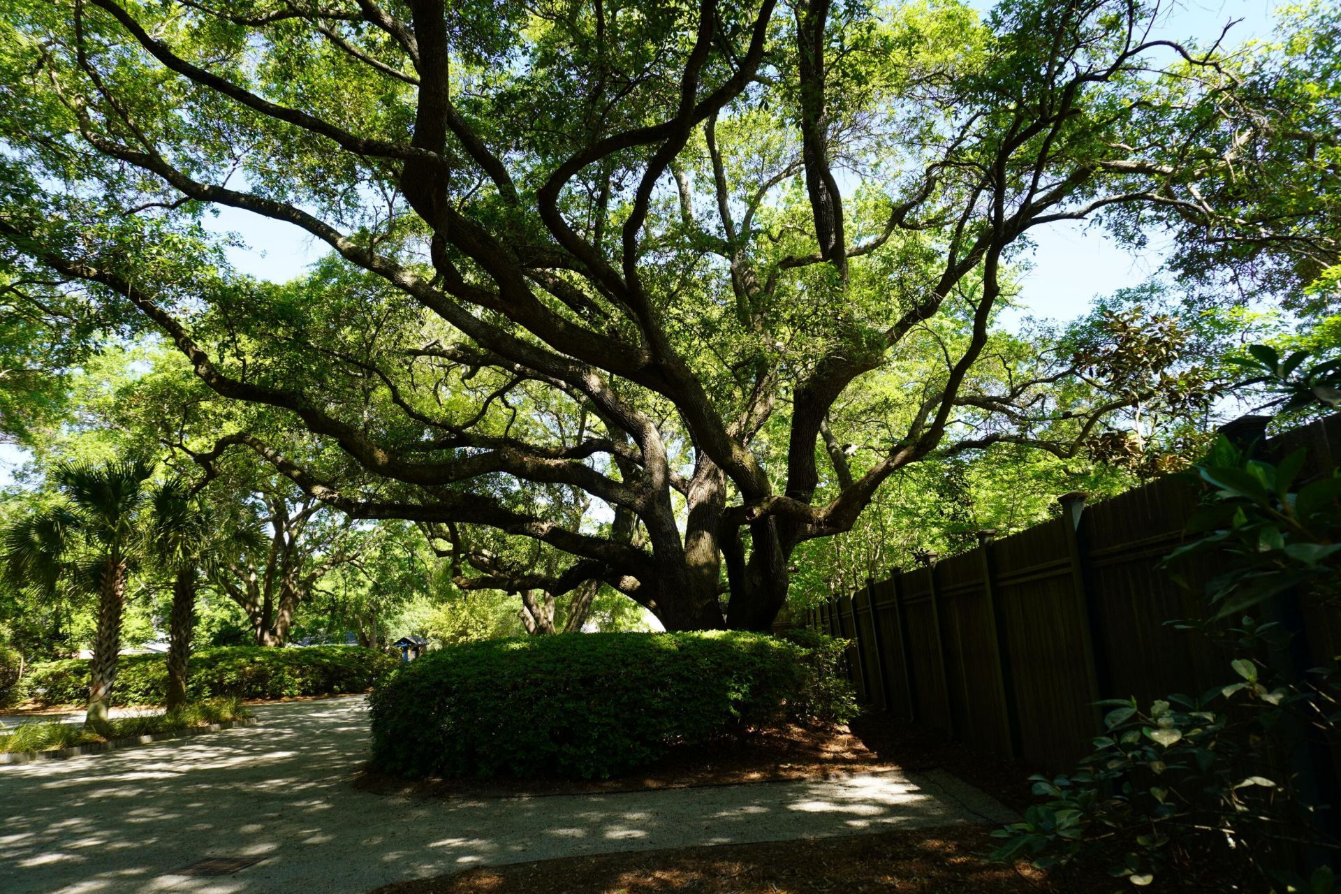 3461 Maybank Highway  Photo 31