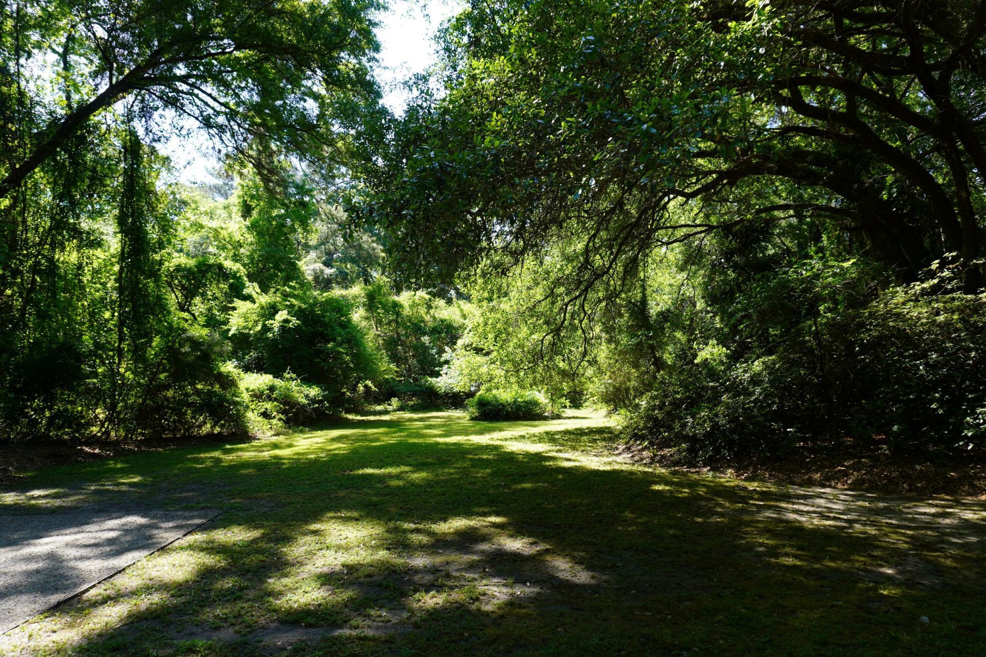 3461 Maybank Highway  Photo 33