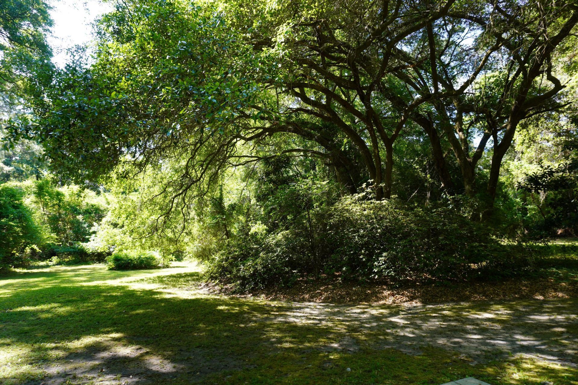 3461 Maybank Highway  Photo 34