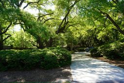 3461 Maybank Highway  photo 4