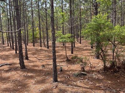 BDF 8 Beaverdam Road , Unit BDF 8, Cassatt, SC 29032