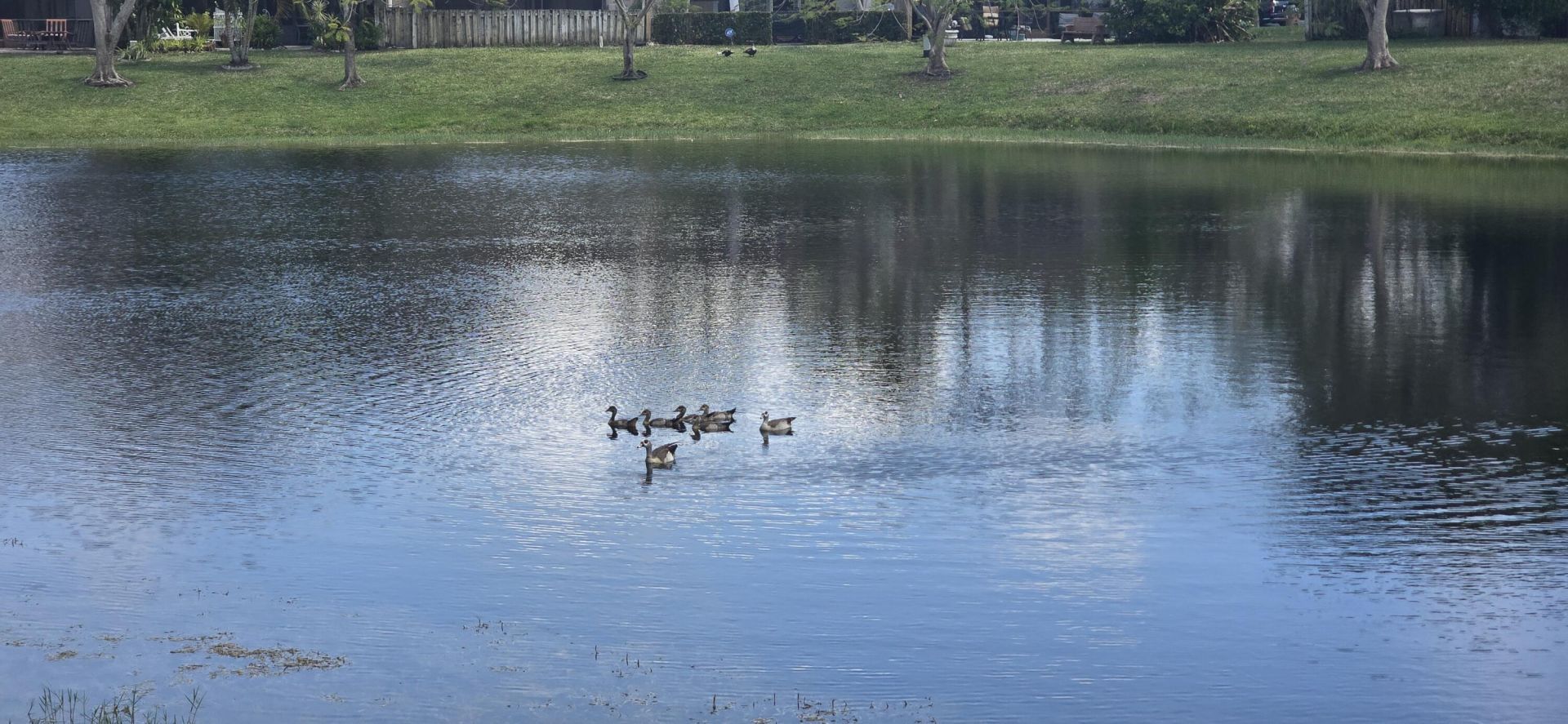 5161 NW 11th Lane, Pompano Beach, FL 33064 Photo