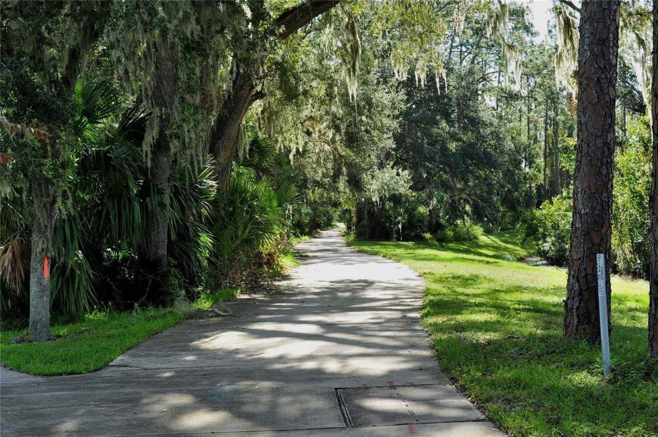 3431 Torre Boulevard , New Smyrna Beach, FL 32168 Photo