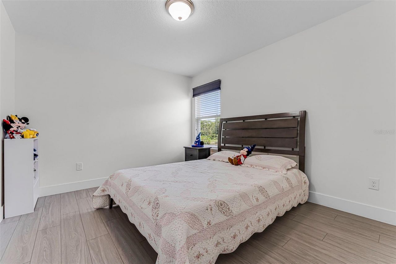 16527 Centipede Street, Clermont, FL 34714 Photo