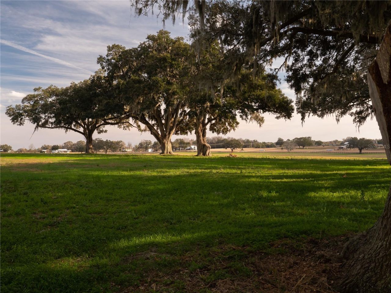 Tbd NW Gainesville Road, Reddick, FL 32686 Photo