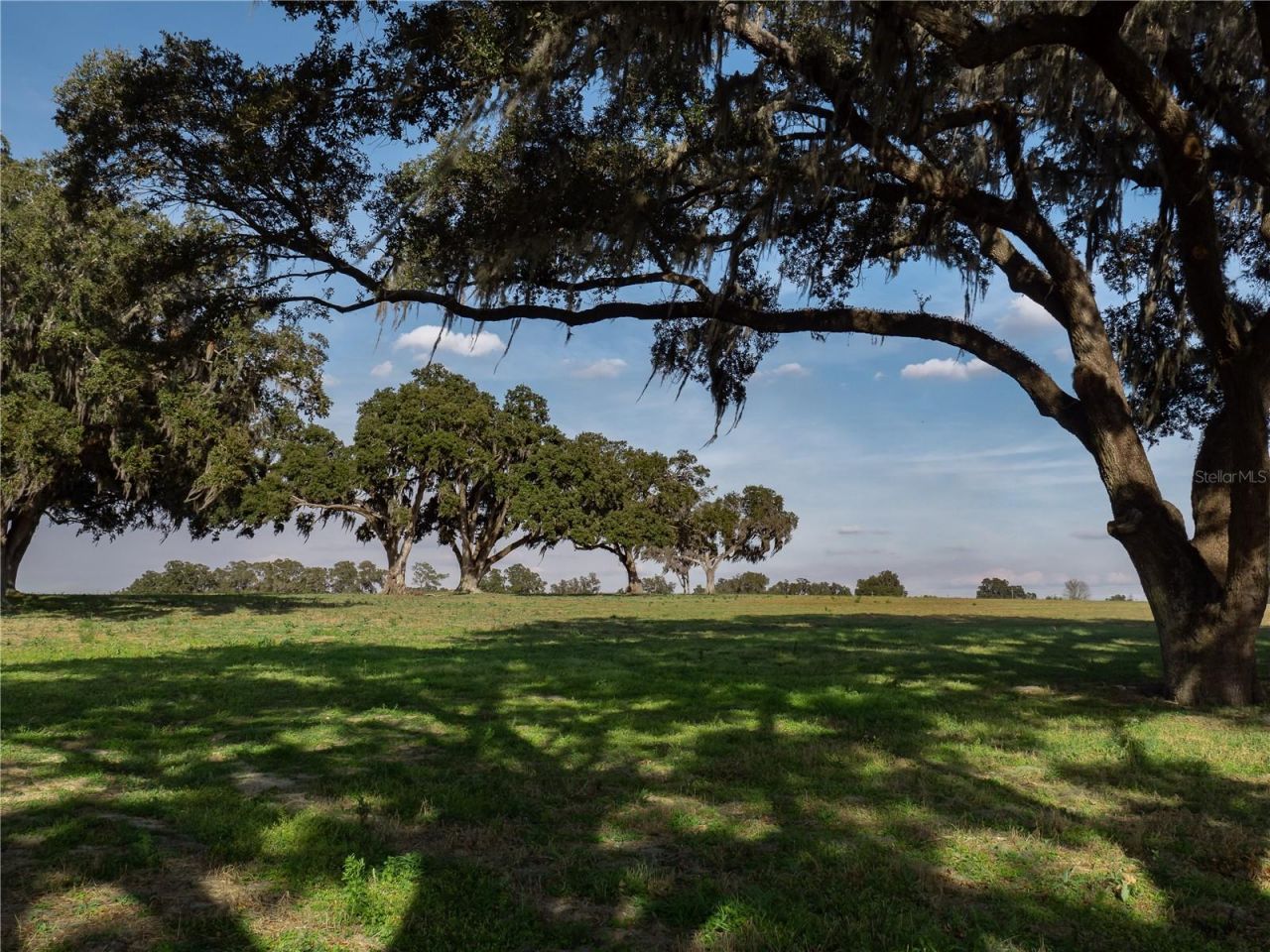 Tbd NW Gainesville Road, Reddick, FL 32686 Photo