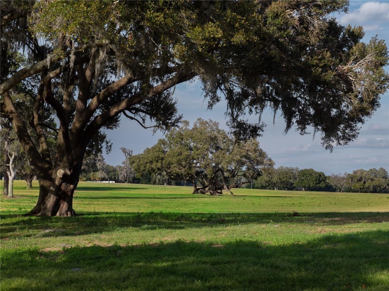 Tbd NW Gainesville Road, Reddick, FL 32686 Photo