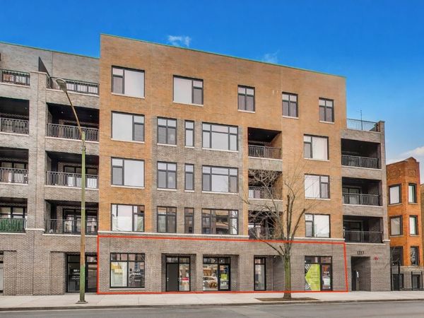 1319 N Western Avenue, Unit C, Chicago, IL 60622