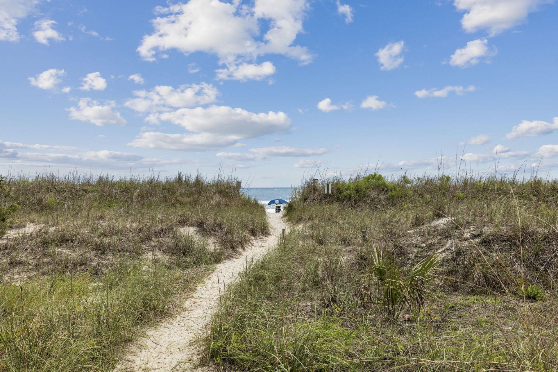 4509 Ocean Blvd. S  Photo 29