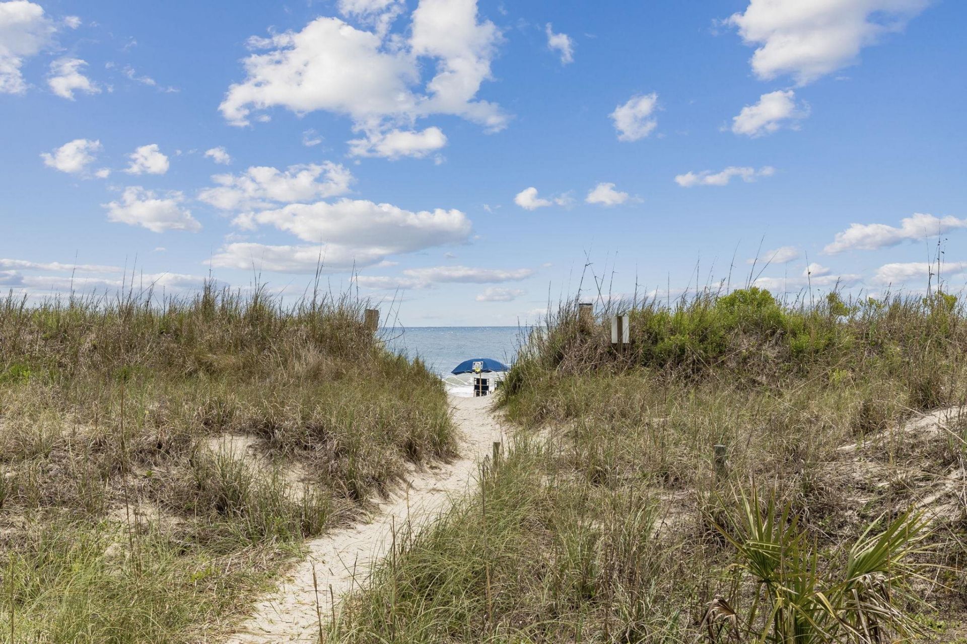 4509 Ocean Blvd. S  Photo 30