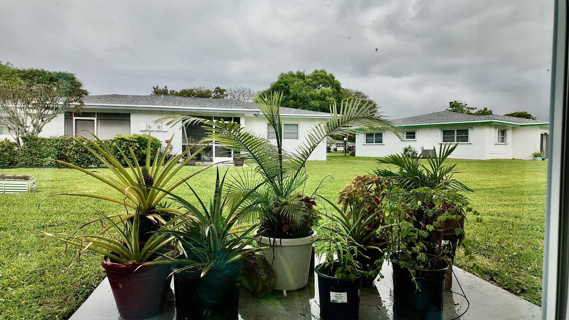 1061 NW 85th Terrace, Plantation, FL 33322 Photo