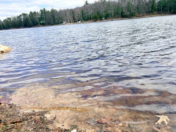 7422 Clear Lake Road, Rhinelander, WI 54501