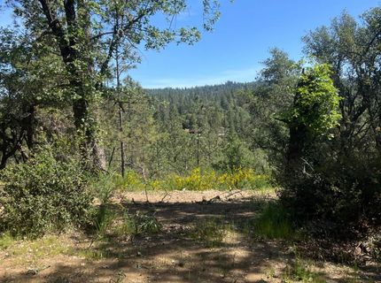 3790 State Highway 193, Greenwood, CA 95635 Photo
