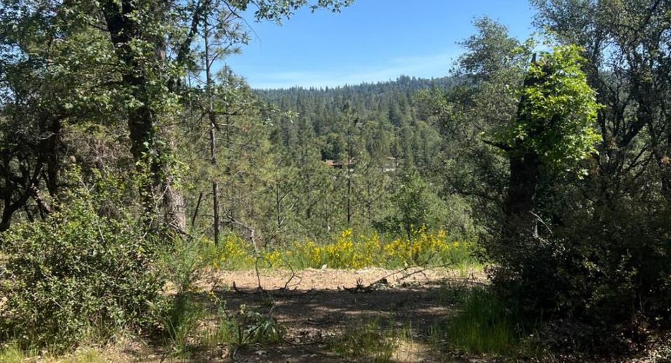 3790 State Highway 193, Greenwood, CA 95635 Photo