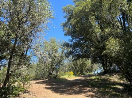 3790 State Highway 193, Greenwood, CA 95635 Photo