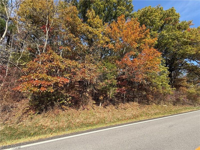 0 State Route 646, Richmond, OH 43944 Photo 2