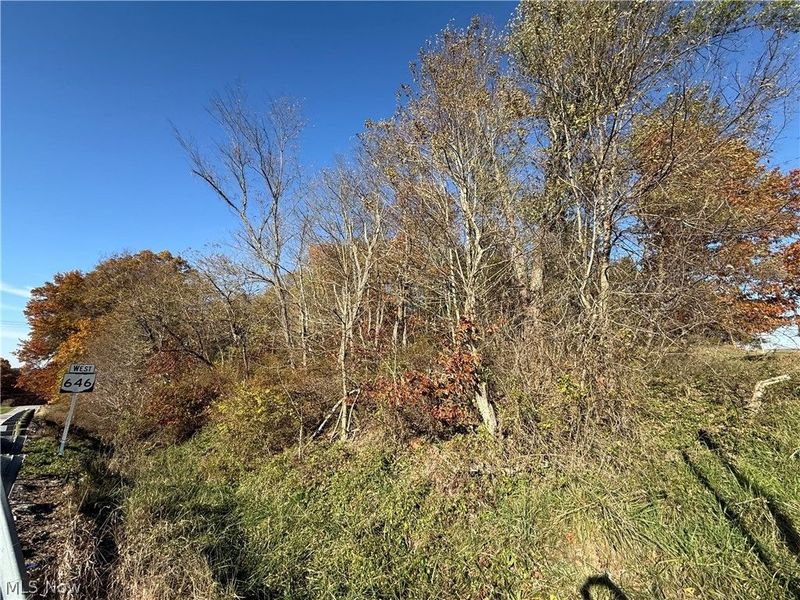 0 State Route 646, Richmond, OH 43944 Photo 5