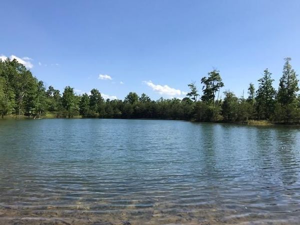 100 Bluff View Drive, Dunlap, TN 37327