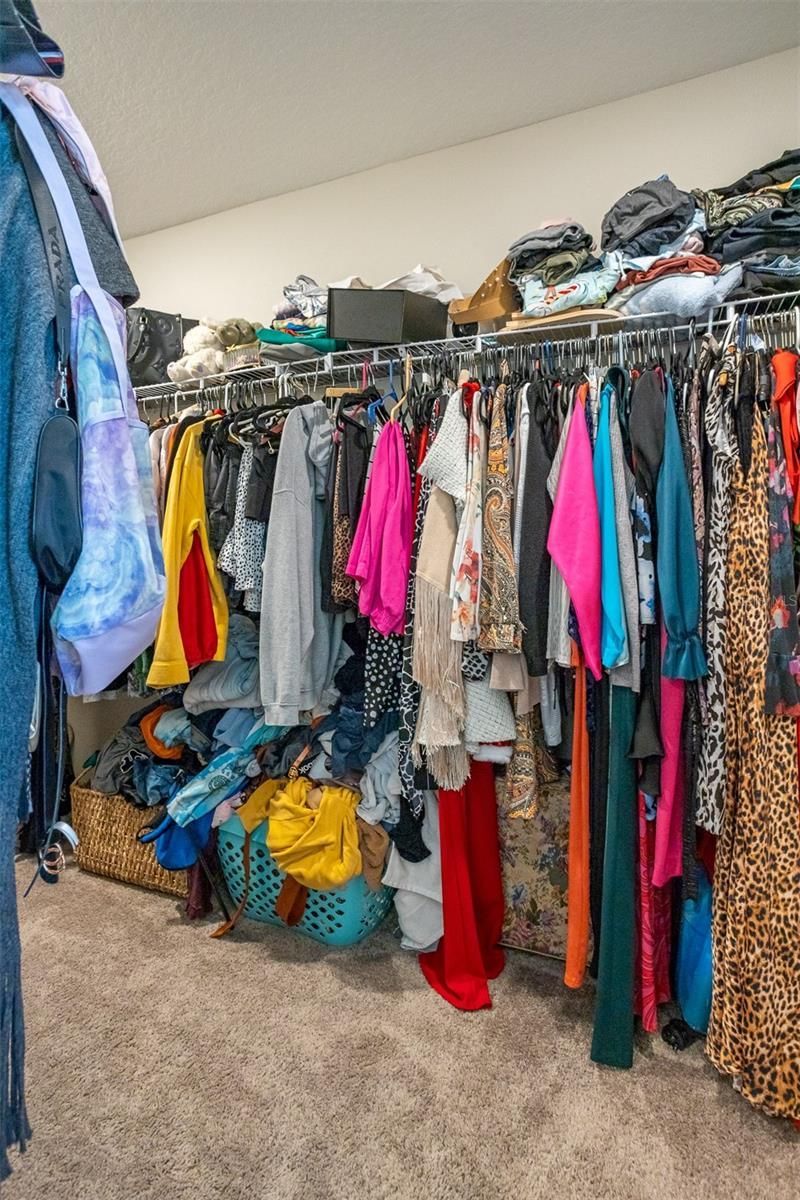 12920 Wellspring Drive , Lithia, FL 33547 Photo