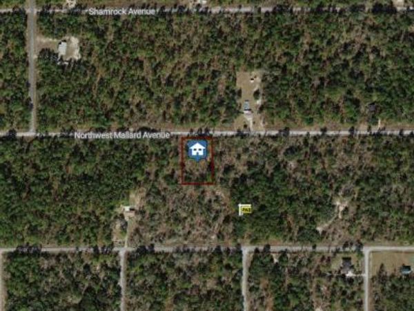 00000 NW Mallard Avenue, Dunnellon, FL 34431