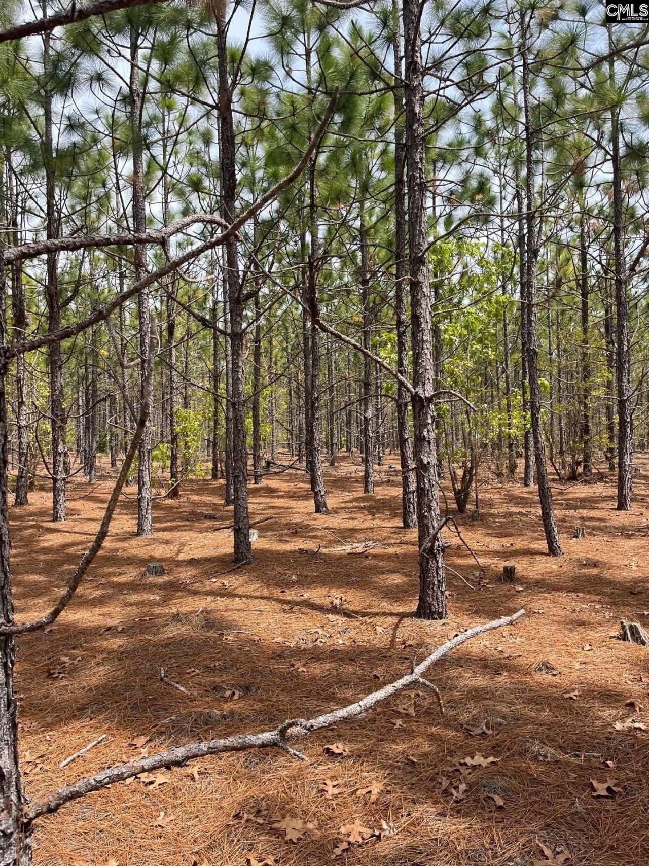 Bdf 9 Beaverdam Road  Photo 10