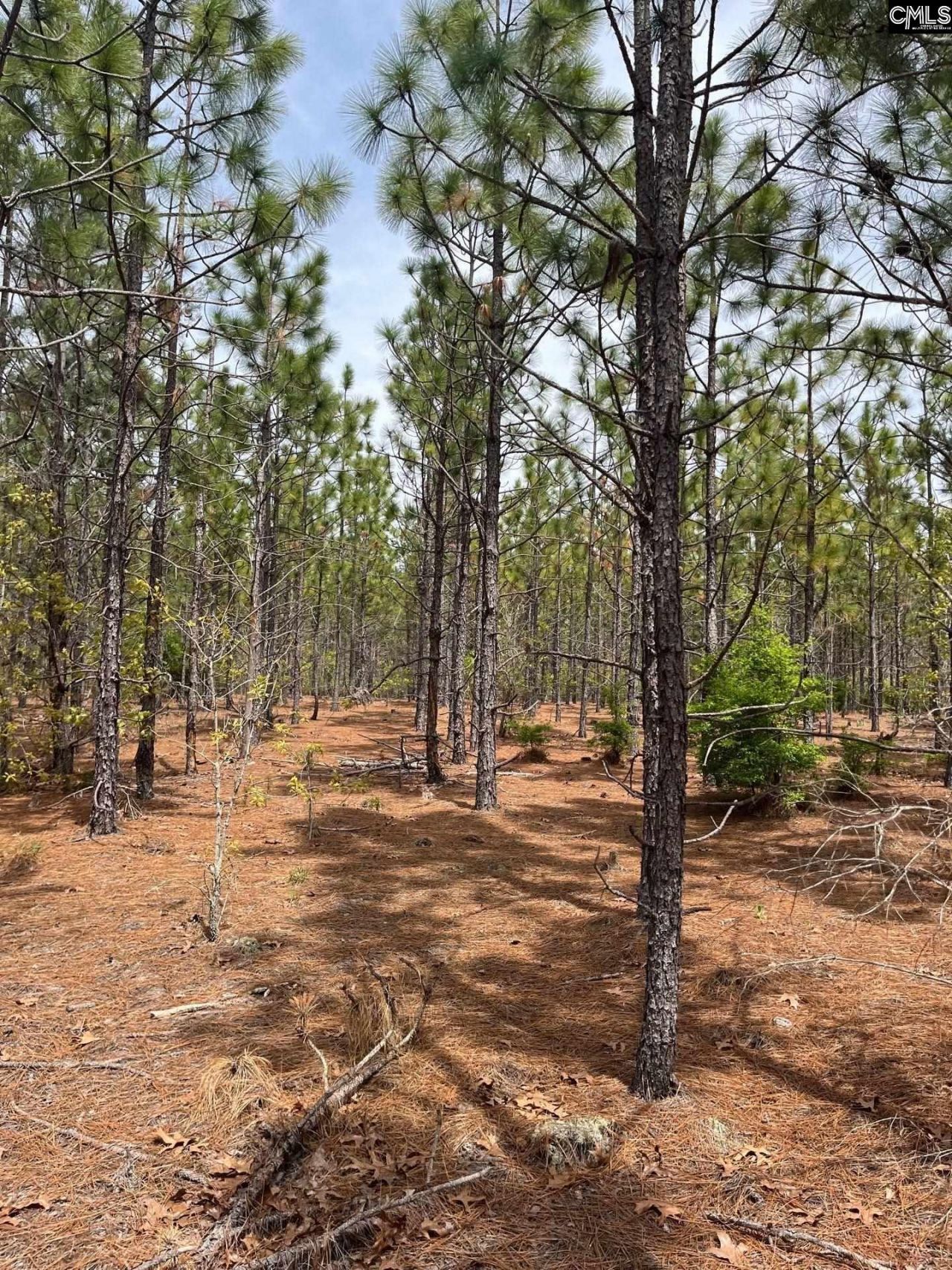 Bdf 9 Beaverdam Road  Photo 11