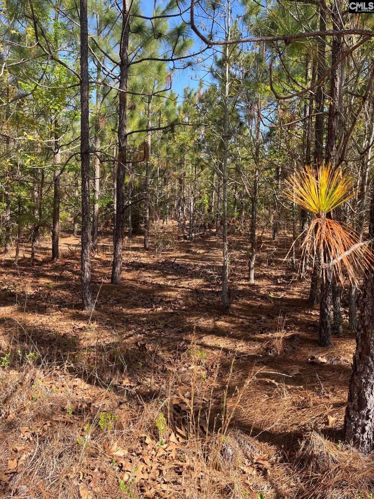 Bdf 9 Beaverdam Road  Photo 13