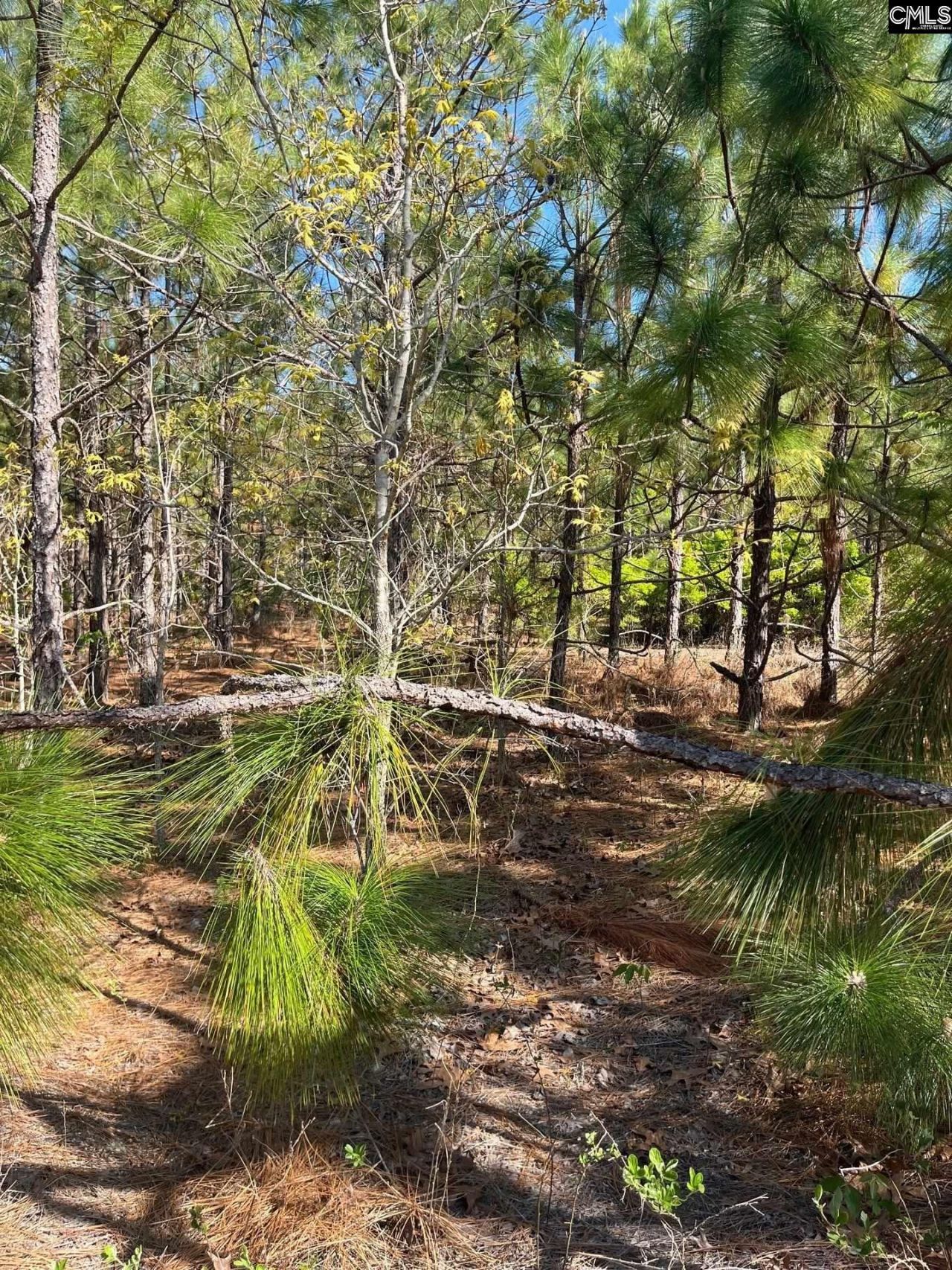 Bdf 9 Beaverdam Road  Photo 15