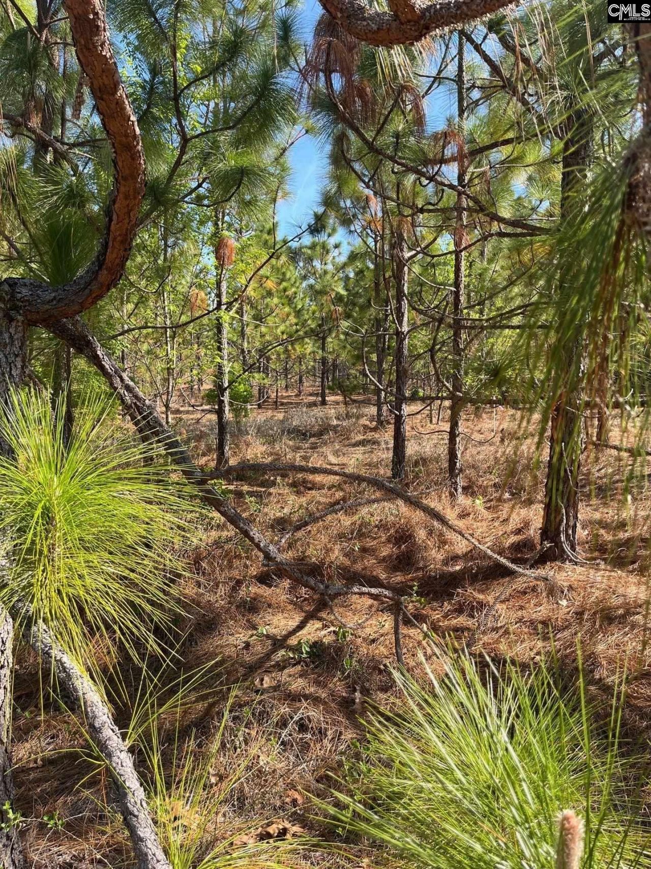 Bdf 9 Beaverdam Road  Photo 18