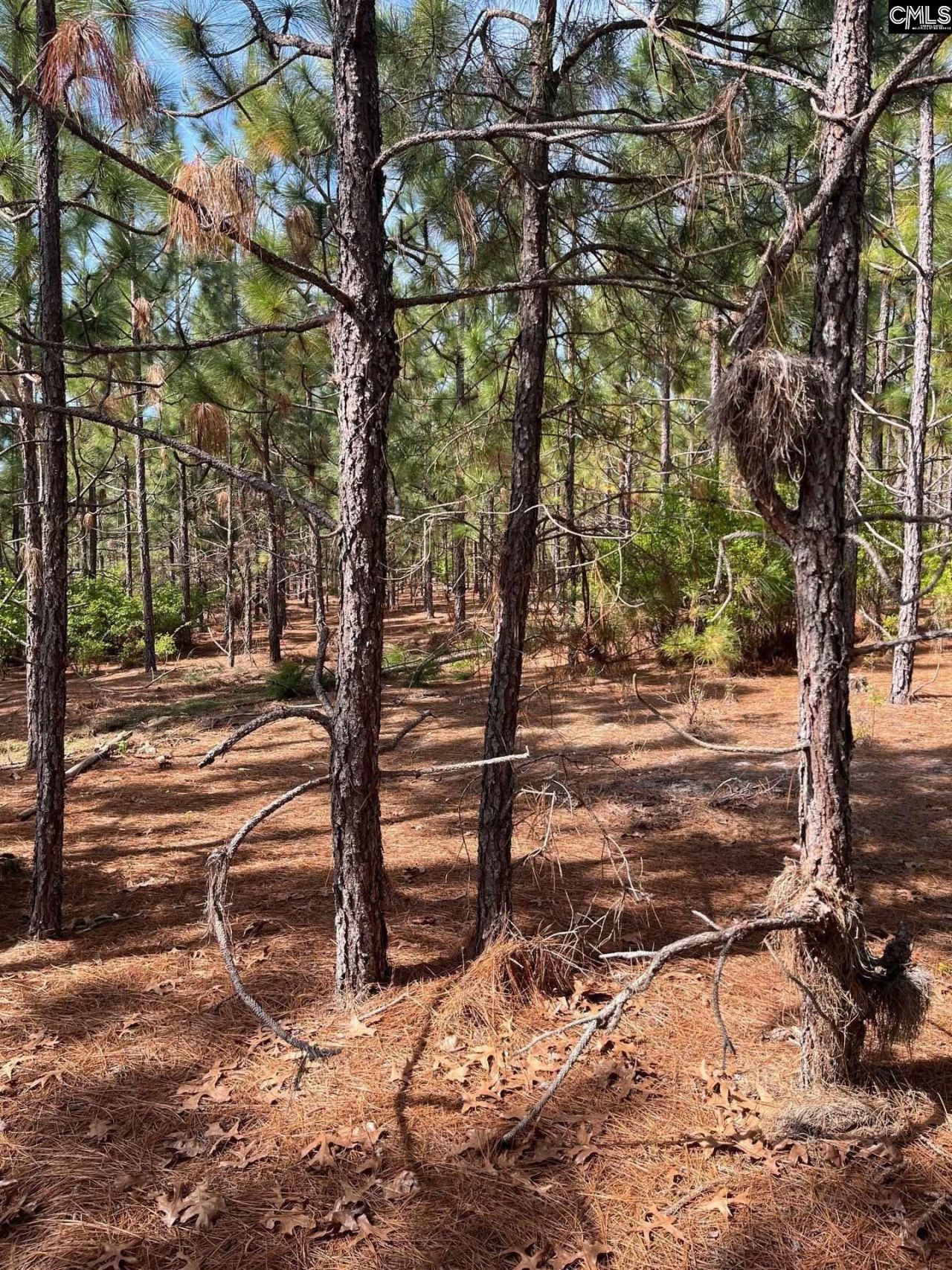 Bdf 9 Beaverdam Road  Photo 21