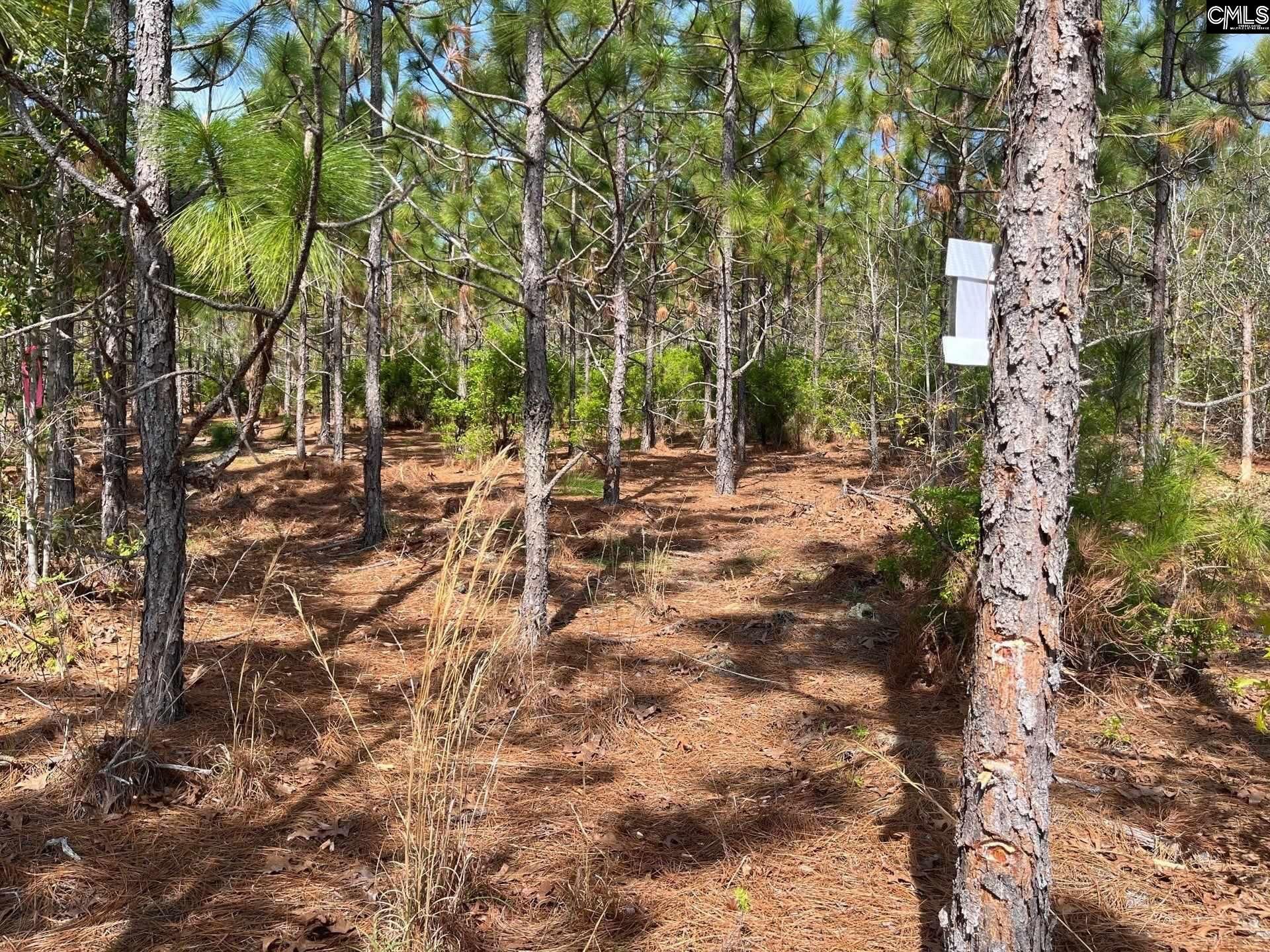 Bdf 9 Beaverdam Road  Photo 22