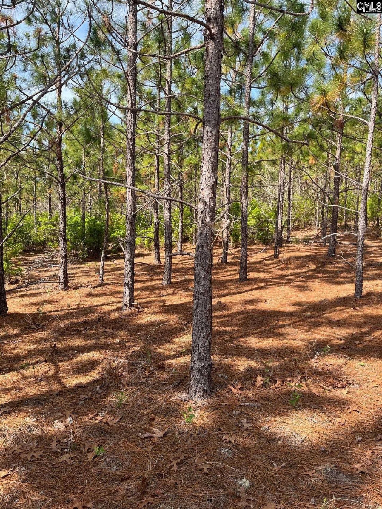 Bdf 9 Beaverdam Road  Photo 23