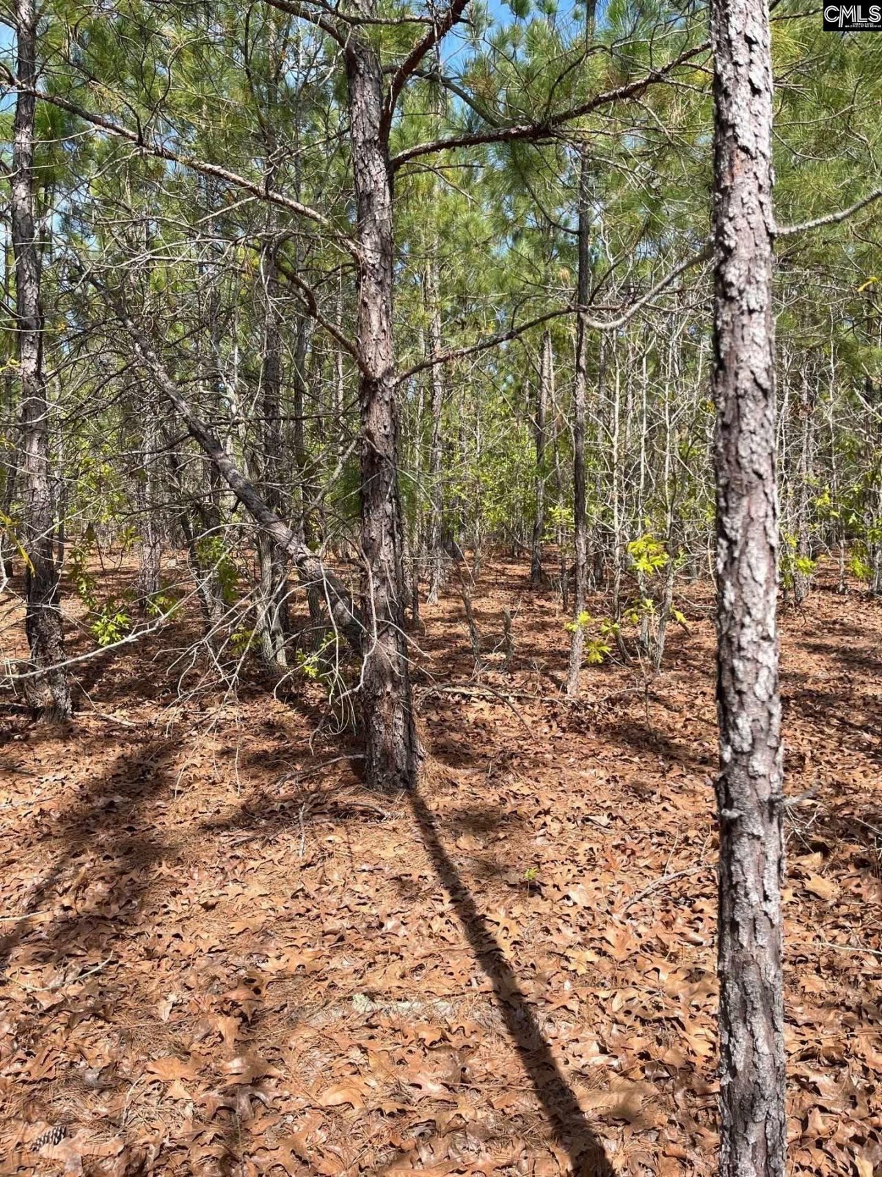 Bdf 9 Beaverdam Road  Photo 24