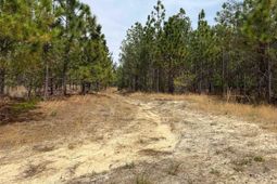 Bdf 9 Beaverdam Road  photo 4